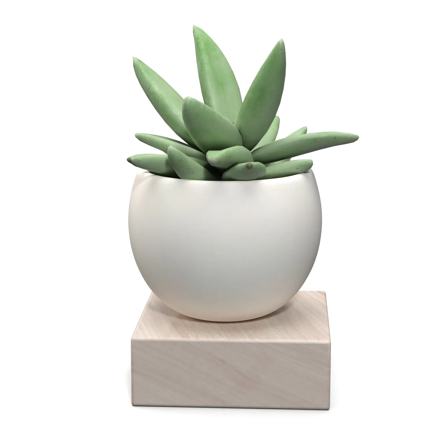 Mini Decorative Fake Succulent Artificial Plants PBR 3D Model_06